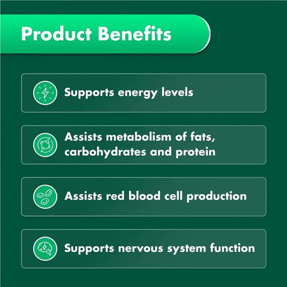 Nature's Own High Strength Vitamin B12 1000mcg 120 Tablets Exclusive Size