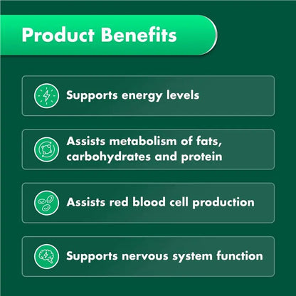 Nature's Own Vitamin B12 1000mcg 60 Tablets